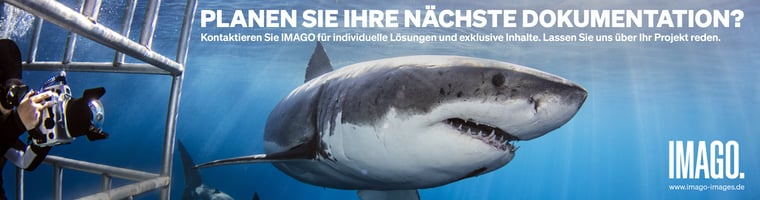 Banner_Filmproduction_Companies_4090x1080_SPORT_GER_v2-1