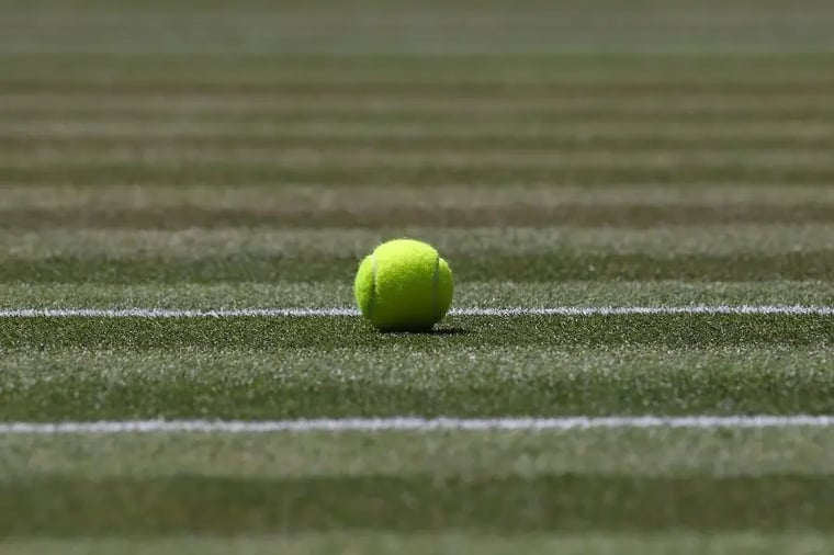 tennis-ball-on-grass-court